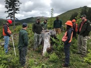 A group of forest managers .Weyerhaeuser, Hancock Timber, Oregon Dept. of Forestry . Oregon State University photo.