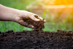Soil image, courtesy of USDA.