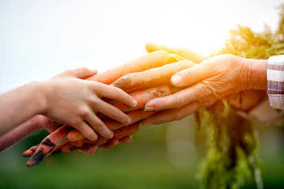 Close up of young and old farmers holding carrots. Photo courtesy of Getty Images. 