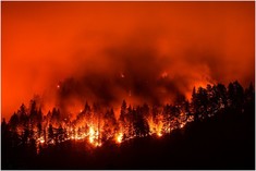 Wildfire image courtesy of Shutterstock/Christian Roberts-Olsen.