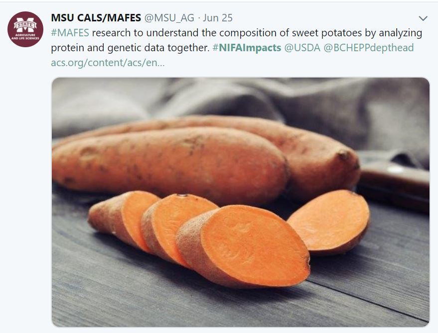 MSU Sweet Potato Research. USDA NIFA Impact
