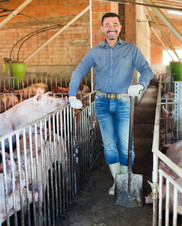 Mature man working on the animal farm and standing with pigs at the hangar. Getty Image. 