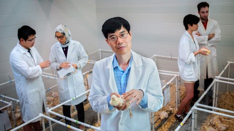 Xingen Lei is researching how microalgae can be used as protein-rich feed for chickens. Image courtesy of Cornell University.