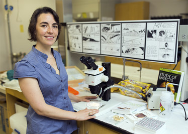 Andrea Lucky in her ant research lab. Image courtesy of Tyler Jones, UF/IFAS.