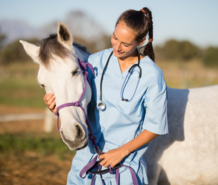 Female veterinarian with horse, photo courtesy of Getty Images.