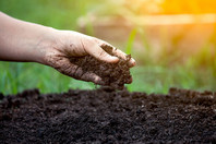Soil USDA image.