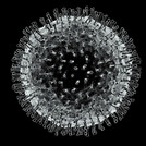Virus Getty Images-1857603221-scaled
