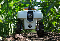 TerraSentia robot image courtesy of the University of Illinois.