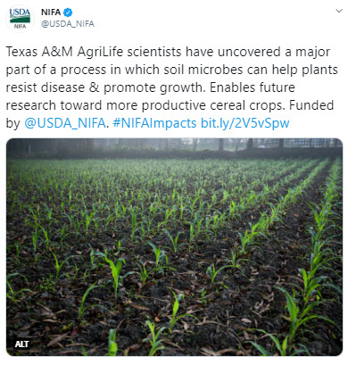 NIFA's Texas A7M Soil Tweet image