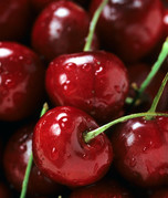 Bing cherries. Photo by Peggy Greb.