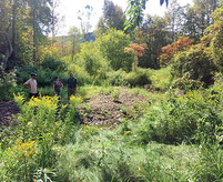 Riparian forest buffer workshop. Photo courtesy of the USDA National Agroforestry Center.