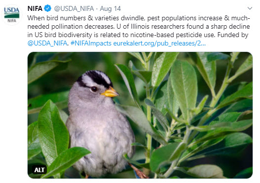 NIFA tweets: University of Illinois researchers found a sharp decline in US bird biodiversity is related to nicotine-based pesticide use. 