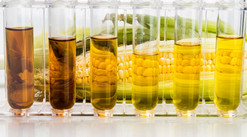 Image of test tubes and corn courtesy of Getty Images.