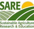 SARE graphic logo