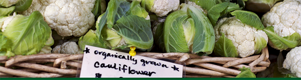 Organic Agriculture Research and Extension Initiative. Image of cauliflower plants in a basket; courtesy of Getty Images.