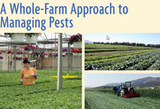 SARE Bulletin Addresses Ecological Approach to Managing Pests cover image