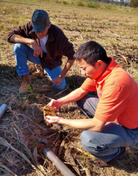 Rongzhong Ye and Charles Parker, study soil samples. Image courtesy of Clemson.