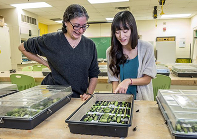 Professor Rebecca Grumet (left) with a student in the lab, courtesy of Michigan State University.