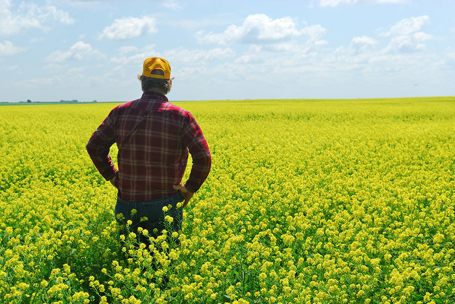 Man standing in field - Getty Images