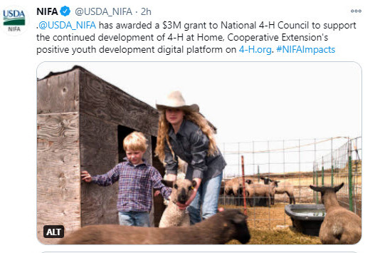 NIFA has awarded a $3M grant to National 4-H Council to support the continued development of 4-H at Home digital platform.
