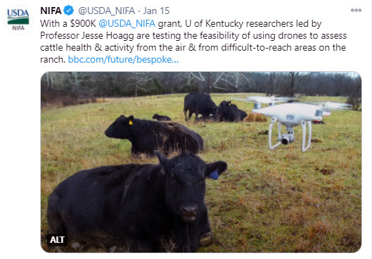 NIFA grant, U of Kentucky researchers are testing the feasibility of using drones to assess cattle health & activity from the air.