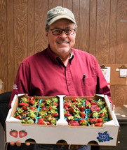 Russ Wallace with some of the results from a strawberry test plots. Image courtesy of Texas A&M AgriLife’s Susan Himes.