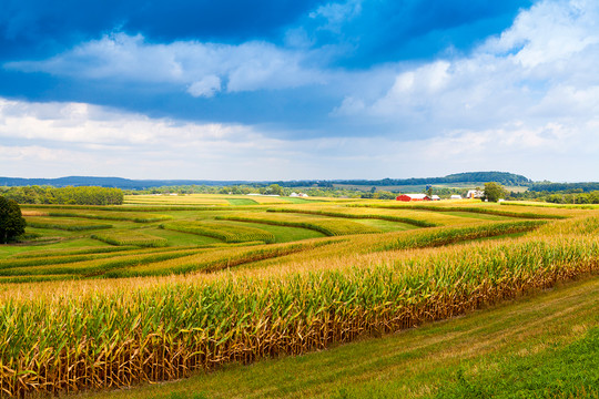 Farmland in America's heartland. Image courtesy of Getty Images. 