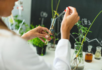 Researcher examining plants in lab, courtesy of Getty Images.