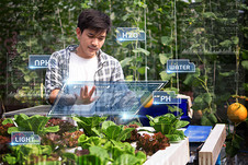 Young smart farmer using Ar,Vr,3d projection glass technology at his smart farm. Image courtesy of Adobe Stock.