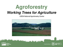 Agroforestry Outreach graphic