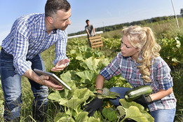 Farming instructor with apprentice in agricultural field. Courtesy of Adobe Stock.