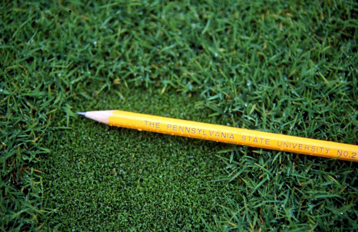 Greens-type Poa annua surrounded by creeping bentgrass. Image courtesy of Penn State’s Dave Huff.