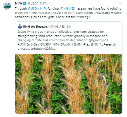 Through NIFA funding, UNH researchers have found rotating crops over time increases the yield of corn. Check out their findings.
