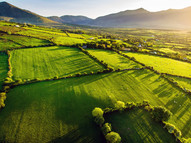 Ireland farmland. Image courtesy of Getty Images.