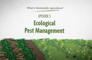 Ecological Pest Management SARE animation graphic