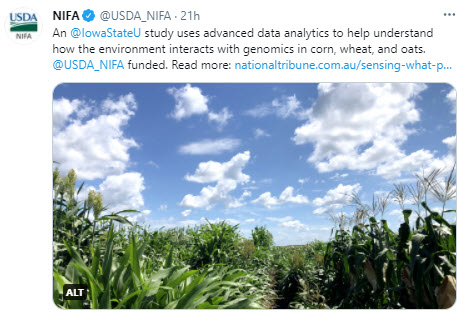 NIFA tweet - An Iowa State University study uses advanced data analytics to help understand genomics in corn, wheat, and oats. 