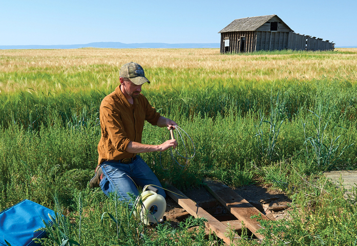 MSU researcher and Extension specialist Adam Sigler checks a data logger. Courtesy of Montana State University.