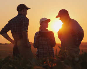 Farmers shaking hands in a field at sunset, courtesy of Adobe Stock.