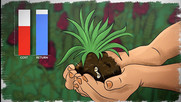 The Economics of Sustainable Agriculture video graphic, courtesy of SARE.