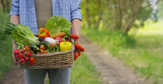 Farmer carrying basket of organic vegetables