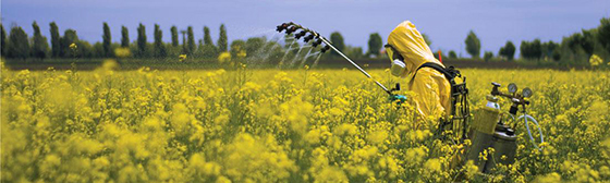 Funding opportunity for the SBIR Phase I. Image of a farmer spraying in the field, courtesy of Adobe Stock.