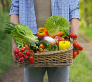 Farmer carrying basket of organic vegetables, courtesy of Getty Images.