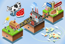 Beef industry production and supply chain graphic, courtesy of Getty Images.