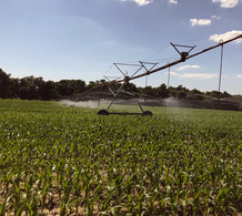 Field irrigation system, courtesy of Clemson University.