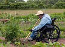 AgrAbility helps individuals with disabilities engaged in production agriculture. Photo by Getty Images.