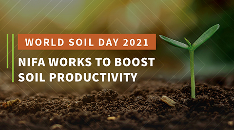 World Soil Day 2021, NIFA Works to Boost Soil Productivity graphic.