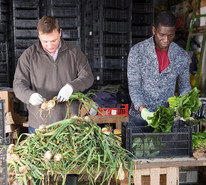 Sorting produce, courtesy of Shutter Stock.