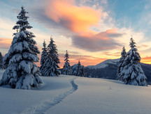 Winter landscape, courtesy of Adobe Stock.