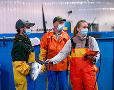 USDA ARS Helps Fill Nets with Better Salmon