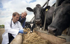 Rural veterinarian checking dairy feed, courtesy Getty Images. 
